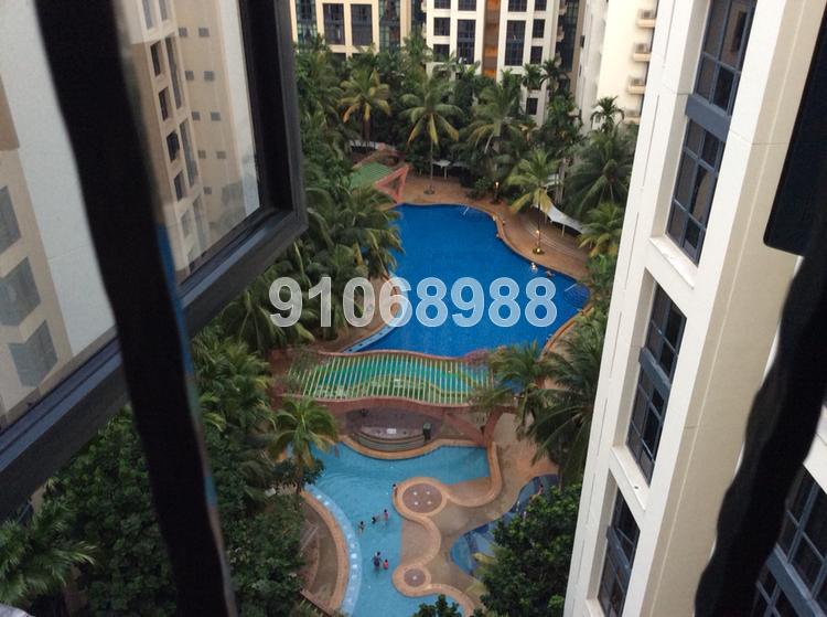 East Meadows (D16), Condominium #101552292